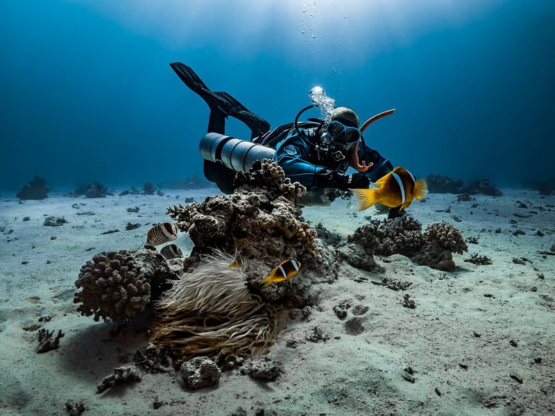 Buoyancy Compensator